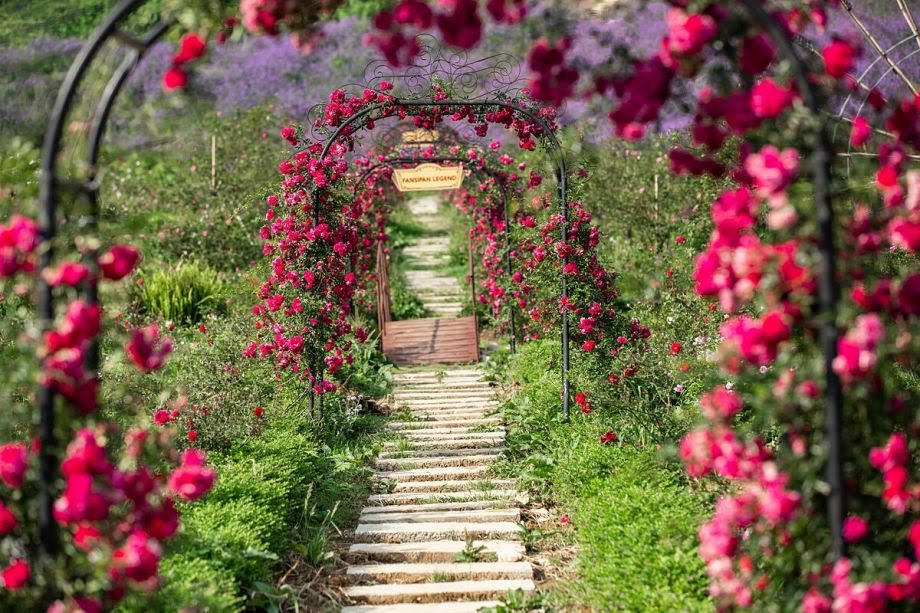 Hàng loạt "đặc sản" kích cầu du lịch hướng tới Kỷ niệm 120 năm du lịch Sa Pa