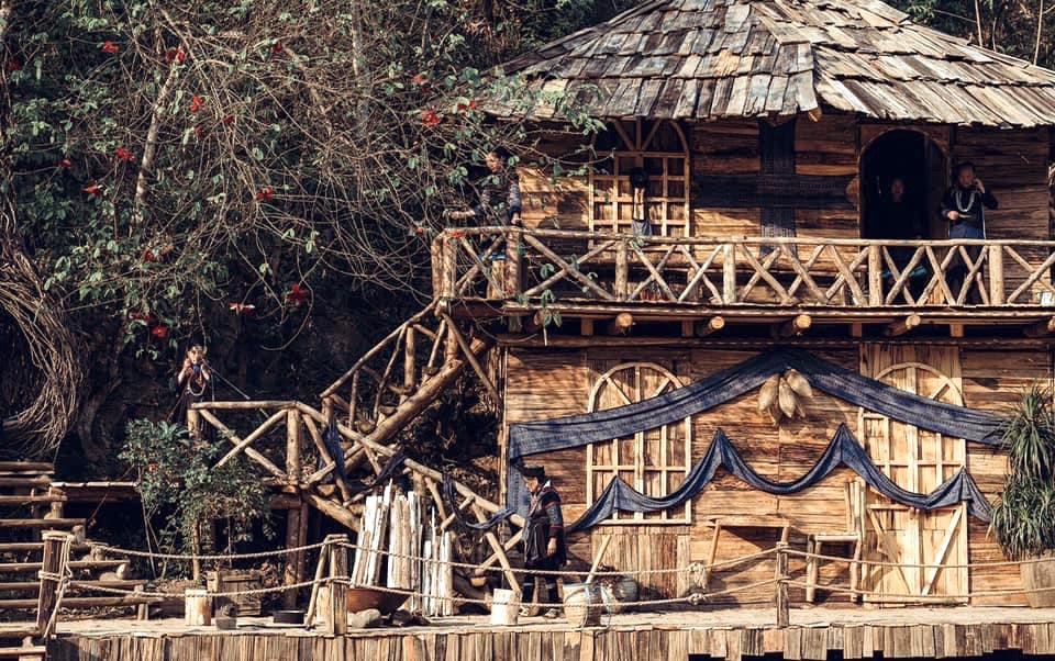 “The Cat Cat Show” – Nghiêng về bên nhau