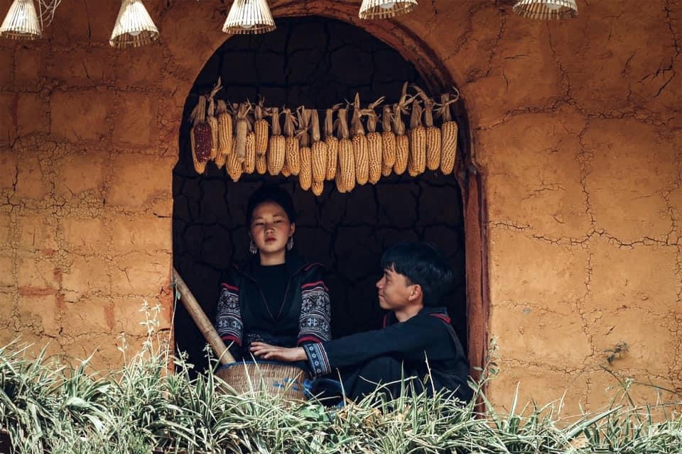 “The Cat Cat Show” – Nghiêng về bên nhau