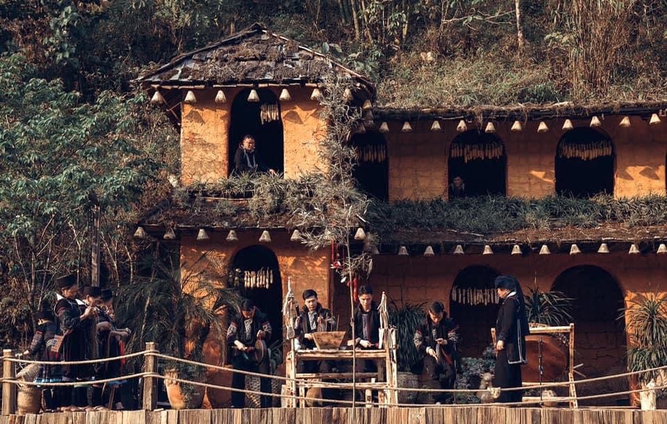 “The Cat Cat Show” – Nghiêng về bên nhau