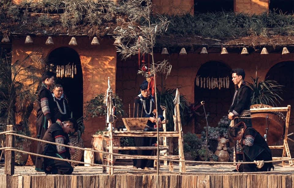 “The Cat Cat Show” – Nghiêng về bên nhau