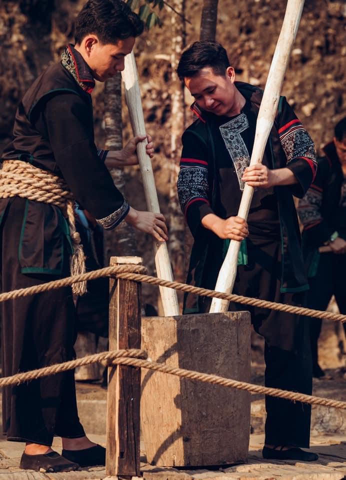 “The Cat Cat Show” – Nghiêng về bên nhau