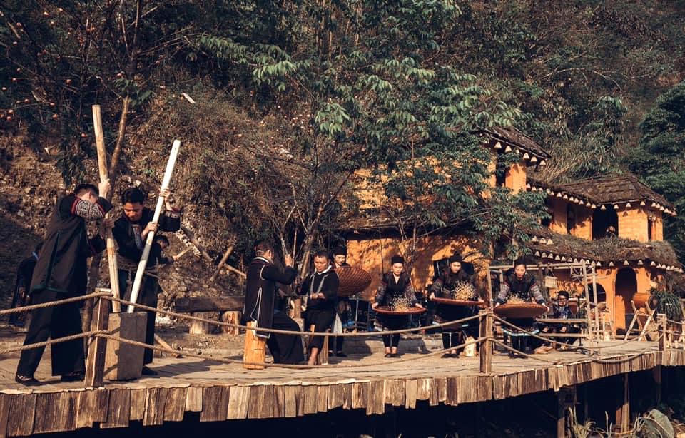 “The Cat Cat Show” – Nghiêng về bên nhau