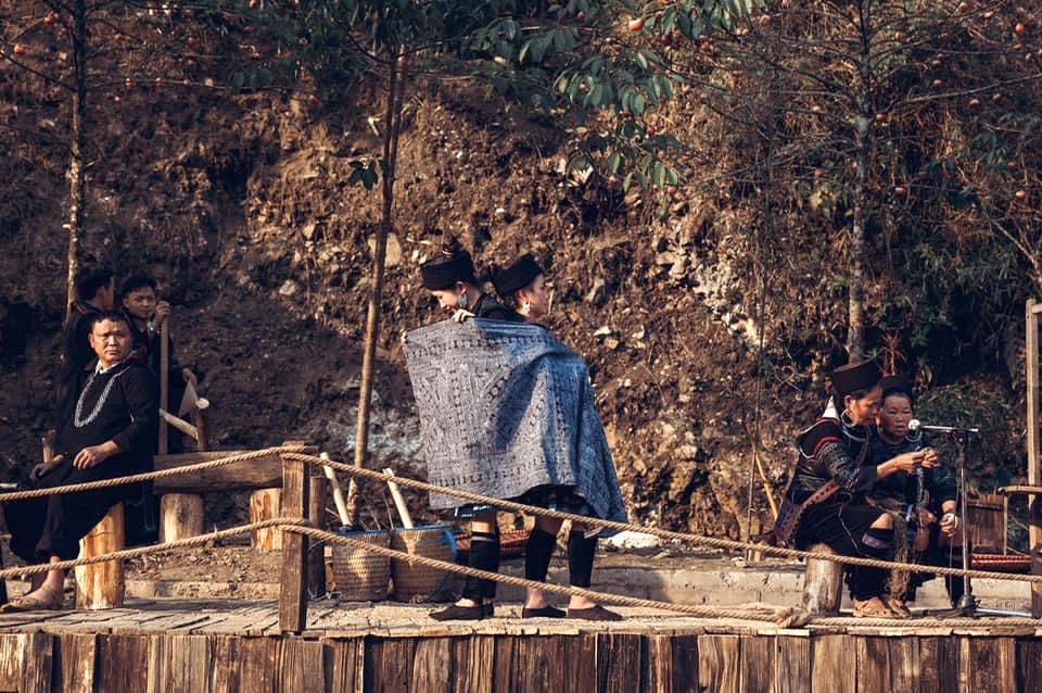 “The Cat Cat Show” – Nghiêng về bên nhau