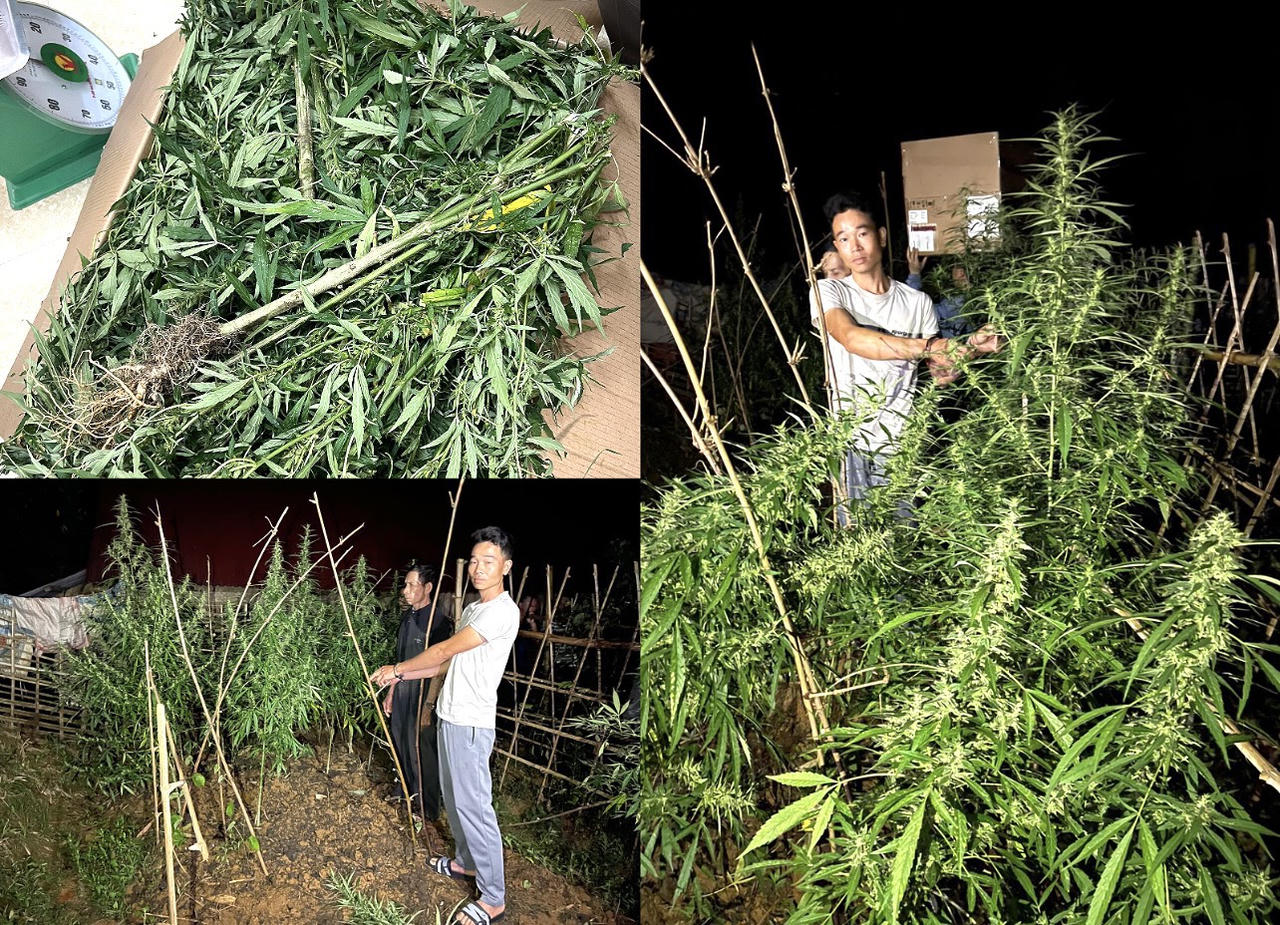 Lào Cai: Bắt giữ 3 đối tượng tàng trữ, mua bán trái phép chất ma túy 