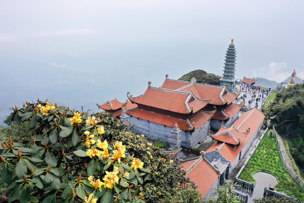 Khánh thành con đường dạo ngắm hoa đỗ quyên đầu tiên ở Việt Nam