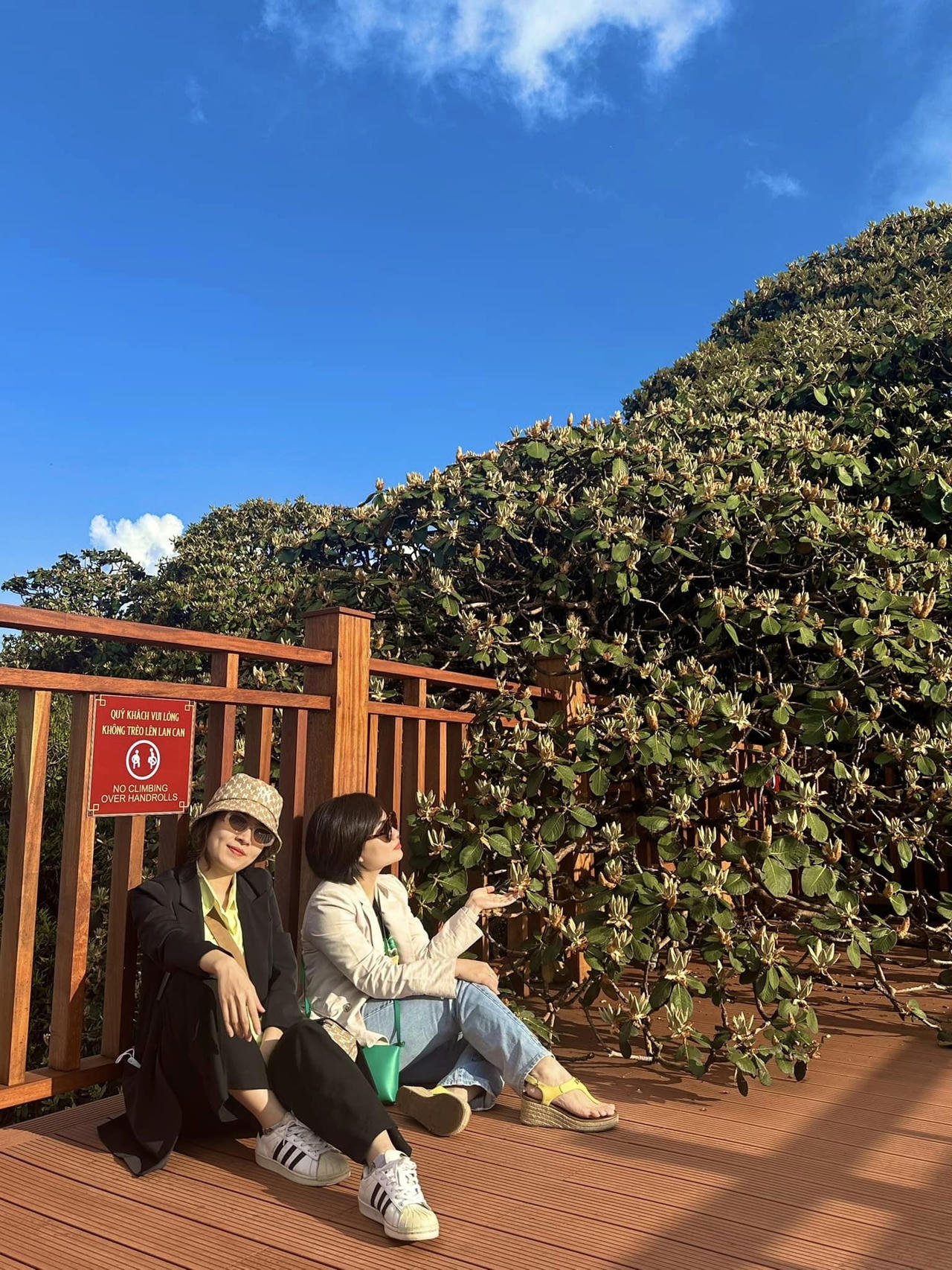 Khánh thành con đường dạo ngắm hoa đỗ quyên đầu tiên ở Việt Nam