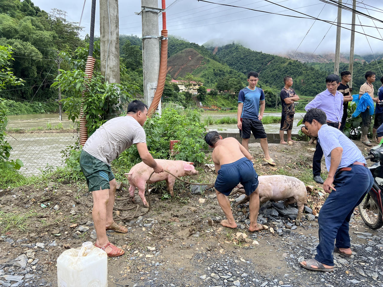 Vỡ cống hệ thống thoát tràn hồ chứa thải Công ty đồng Tả Phời