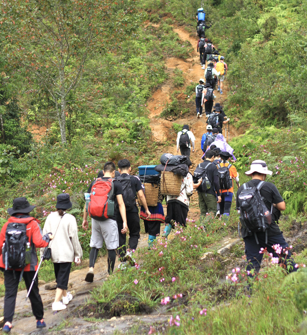 Đỉnh Lảo Thẩn thu hút khách du lịch kỳ nghỉ lễ 