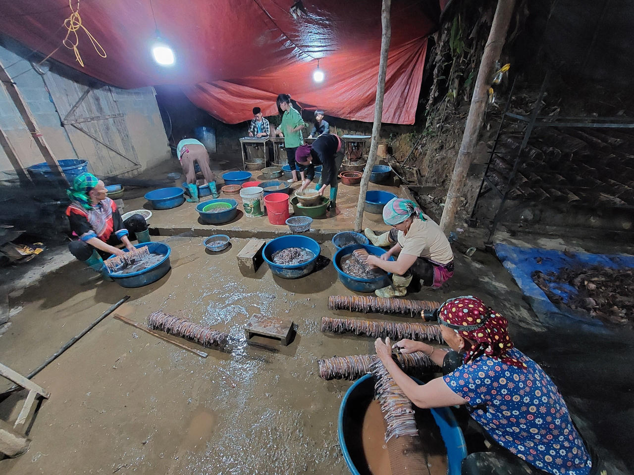 Lào Cai chỉ đạo ngăn chặn tình trạng kích điện, sơ chế, thu mua giun đất