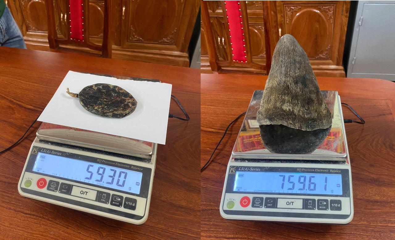 Bắt quả tang đối tượng mua bán sừng tê giác, mật gấu