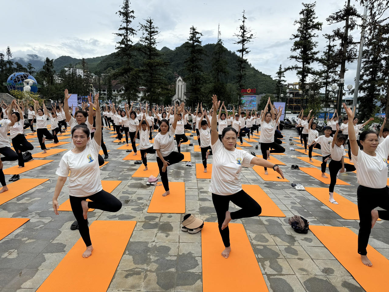 Gần 500 huấn luyện viên, học viên tham gia đồng diễn 'Yoga trong sương'
