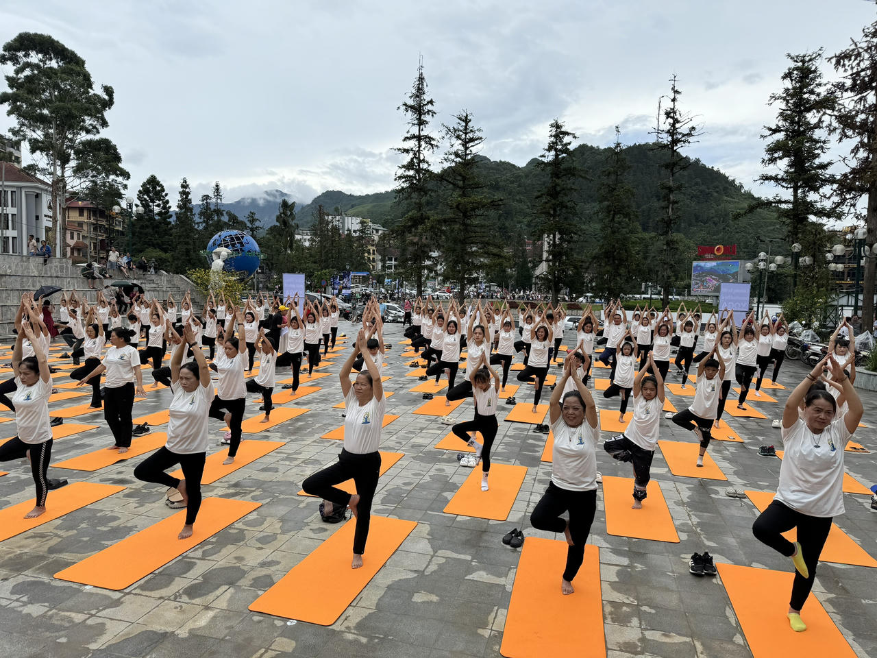 Gần 500 huấn luyện viên, học viên tham gia đồng diễn 'Yoga trong sương'