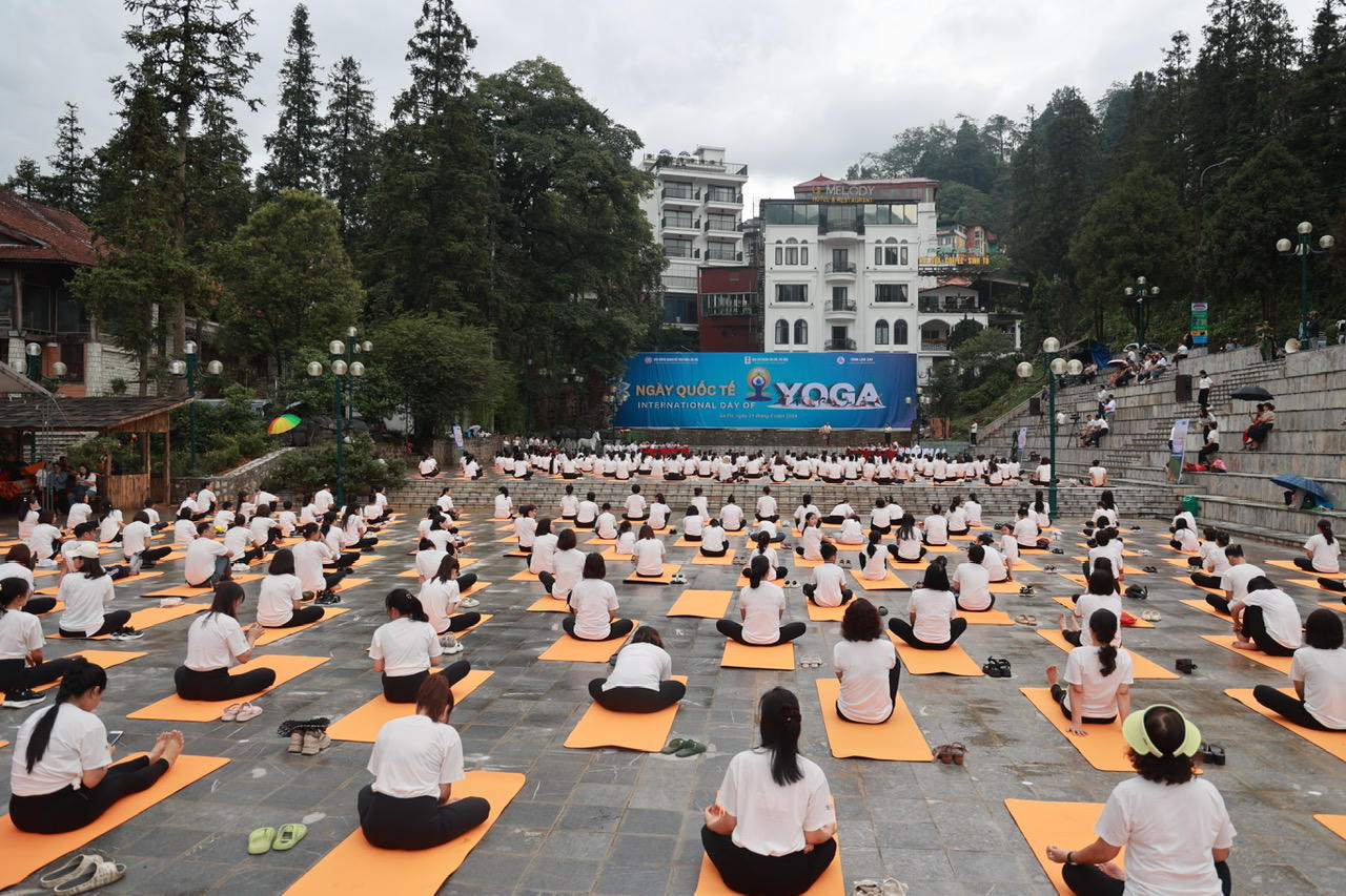 Gần 500 huấn luyện viên, học viên tham gia đồng diễn 'Yoga trong sương'