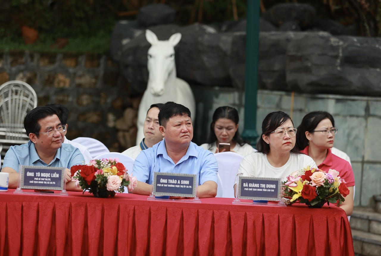 Gần 500 huấn luyện viên, học viên tham gia đồng diễn 'Yoga trong sương'