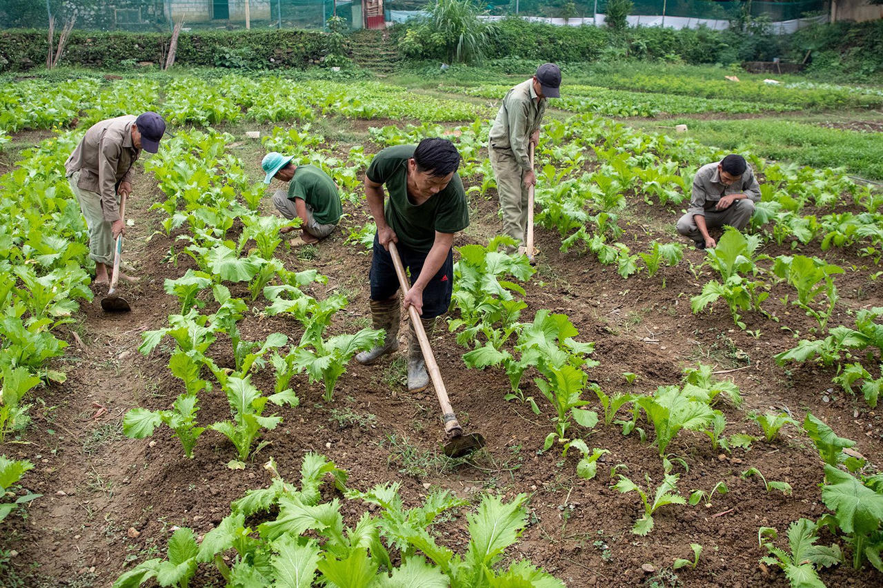 Cơ sở cai nghiện số 2 tỉnh Lào Cai hỗ trợ tái hòa nhập cộng đồng, nỗ lực 'chung tay' chống ma túy