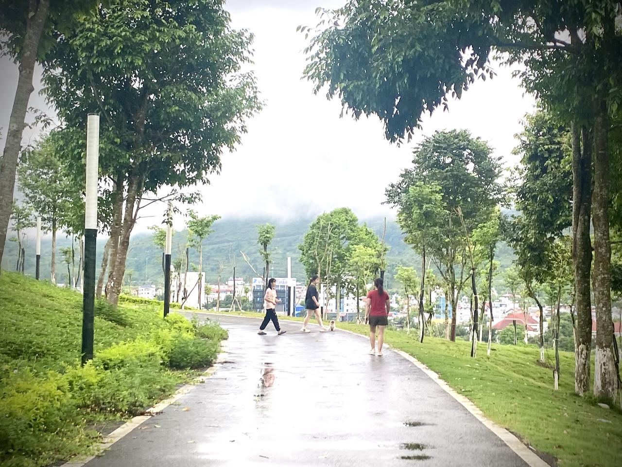 'Lá phổi xanh' giữa thành phố Lai Châu