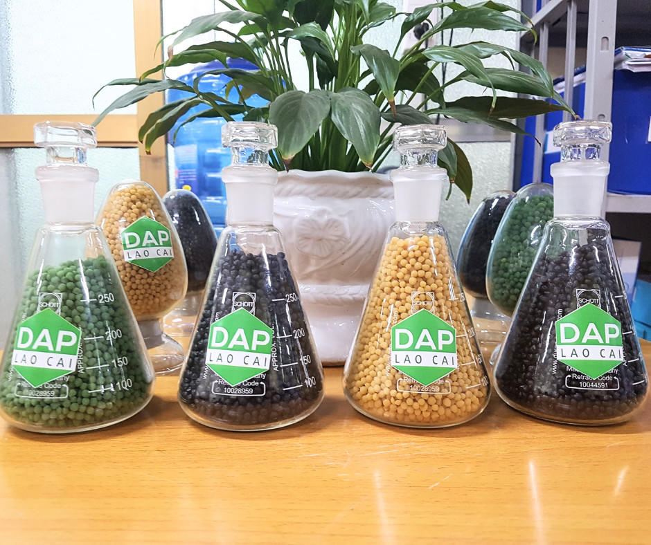 “DAP LÀO CAI - Thịnh vượng cùng nhà nông