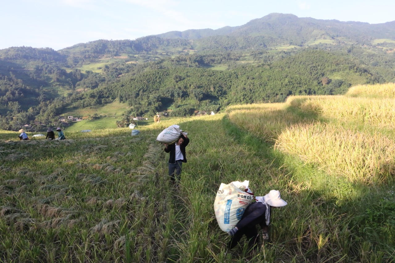 Bí thư Chi bộ 9X tại bản người Xa Phó