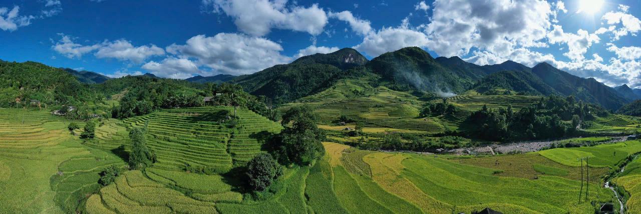 Mùa lúa vàng rực rỡ ở Nậm Cang - Sa Pa