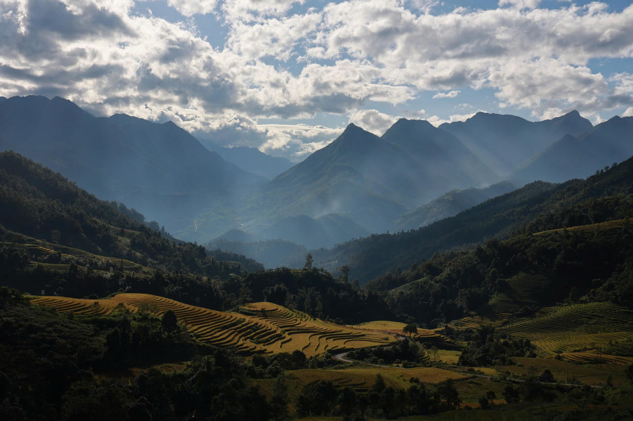 Mùa lúa vàng rực rỡ ở Nậm Cang - Sa Pa