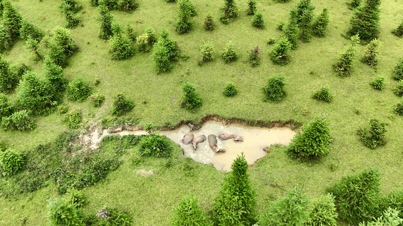 Vẻ đẹp thảo nguyên Cốc Sâm nhìn từ trên cao 