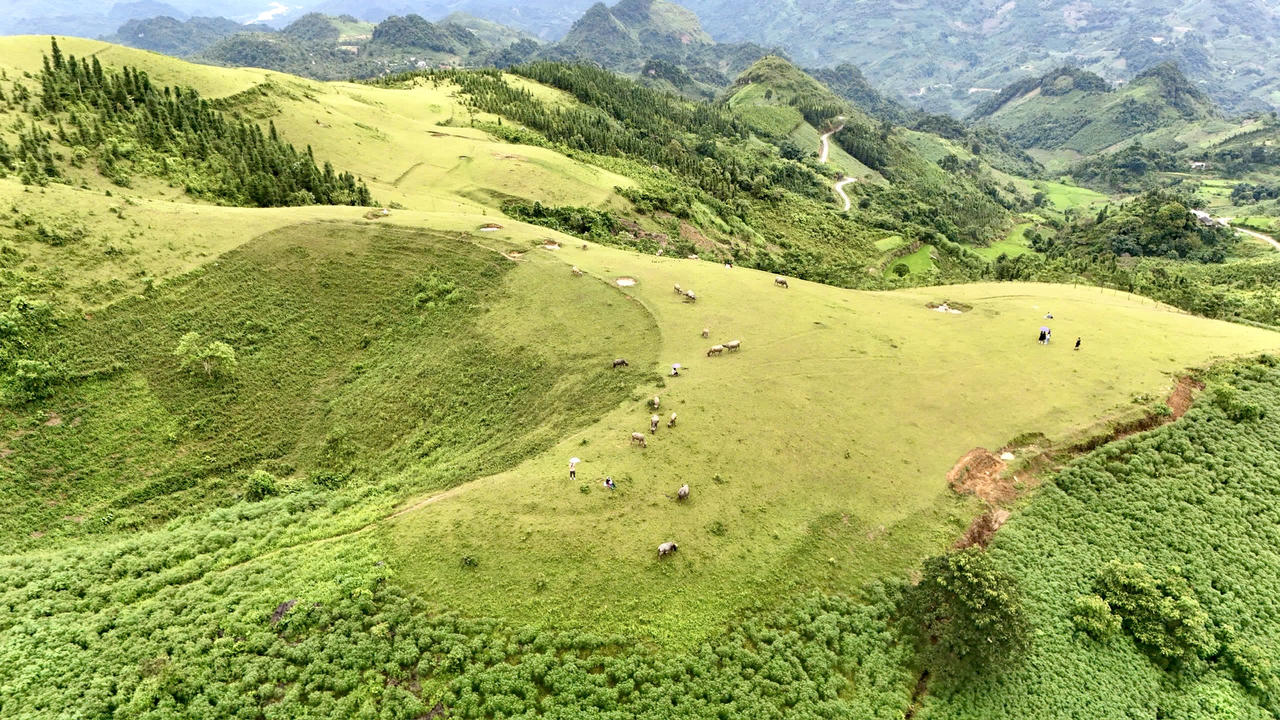 Vẻ đẹp thảo nguyên Cốc Sâm nhìn từ trên cao 