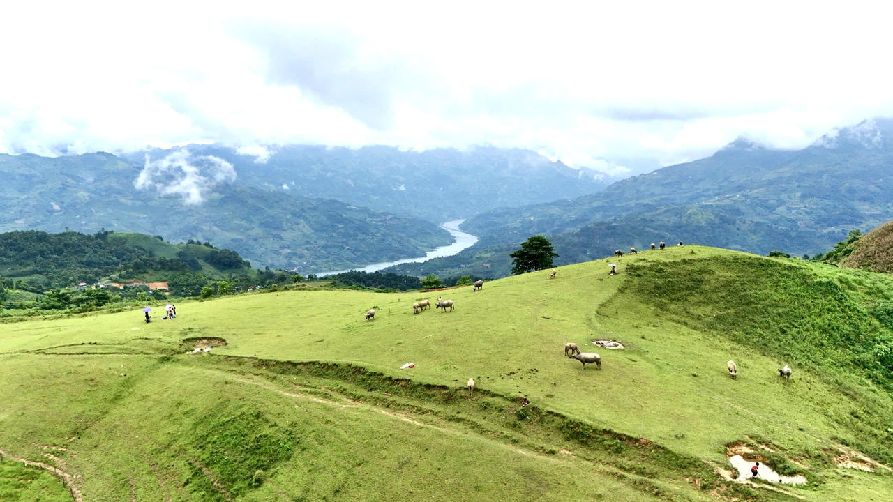 Vẻ đẹp thảo nguyên Cốc Sâm nhìn từ trên cao 
