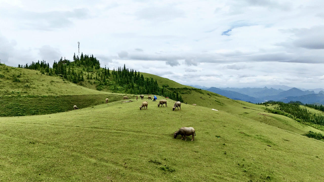 Vẻ đẹp thảo nguyên Cốc Sâm nhìn từ trên cao 