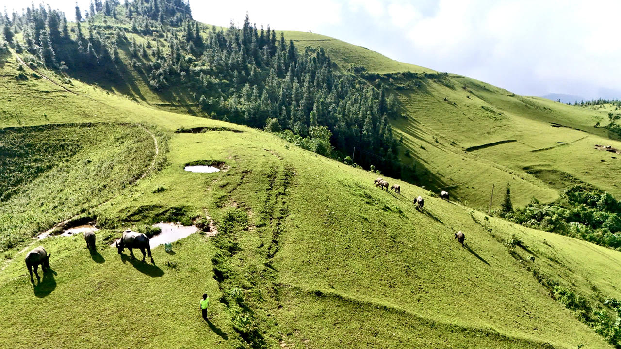 Vẻ đẹp thảo nguyên Cốc Sâm nhìn từ trên cao 