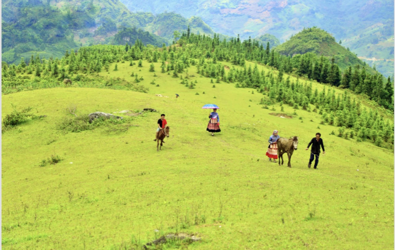 Vẻ đẹp thảo nguyên Cốc Sâm nhìn từ trên cao 