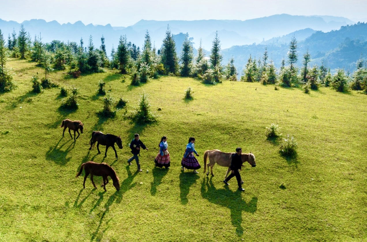 Vẻ đẹp thảo nguyên Cốc Sâm nhìn từ trên cao 