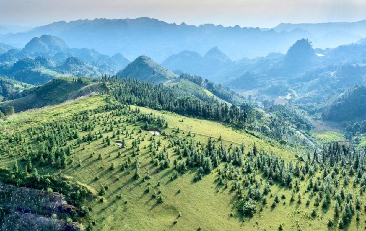 Vẻ đẹp thảo nguyên Cốc Sâm nhìn từ trên cao 