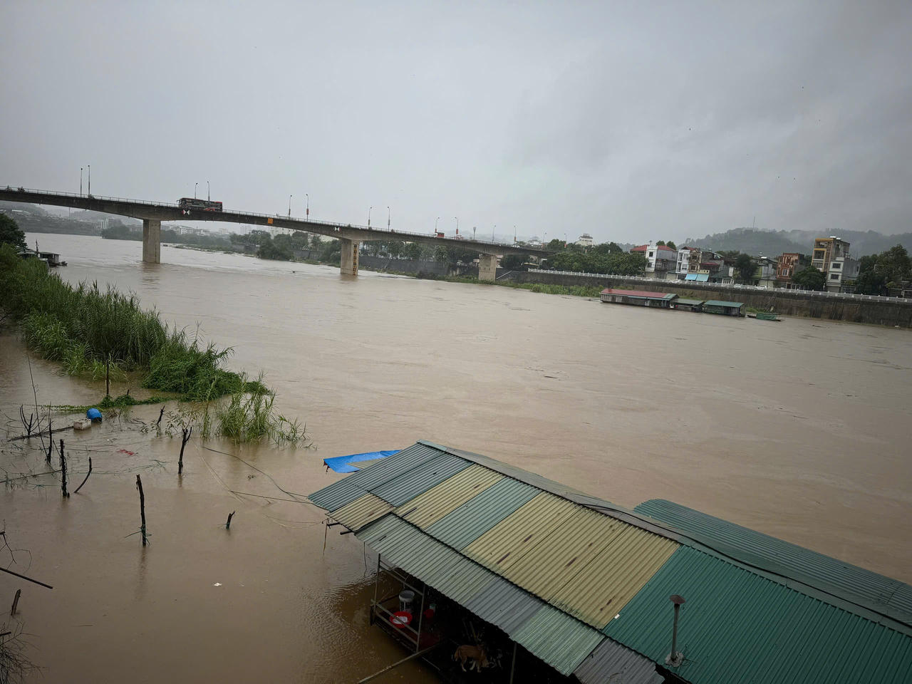 Lũ đang lên cao trên sông Hồng