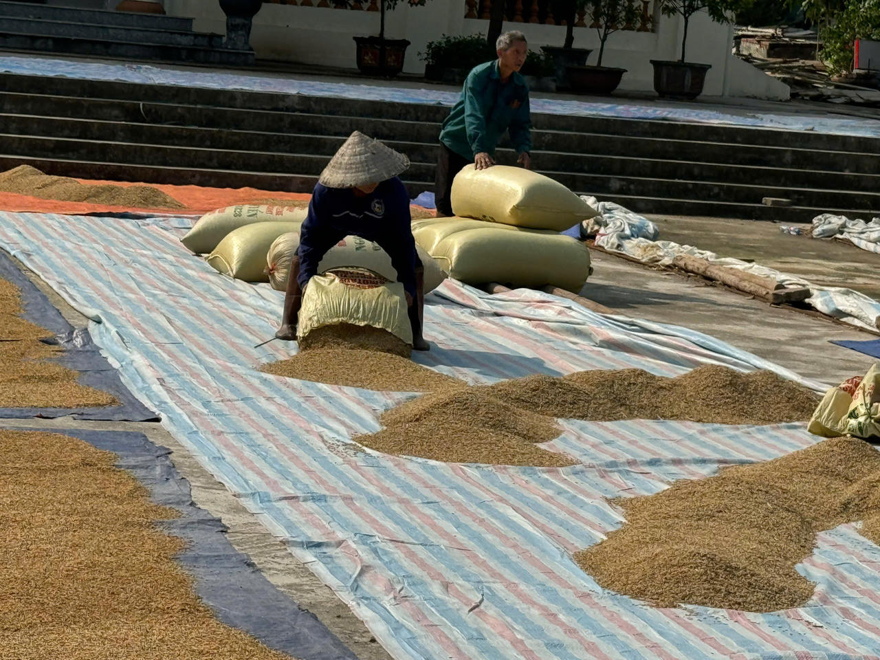 Công an xã Bản Qua cùng người dân gỡ khó trong mùa thu hoạch lúa