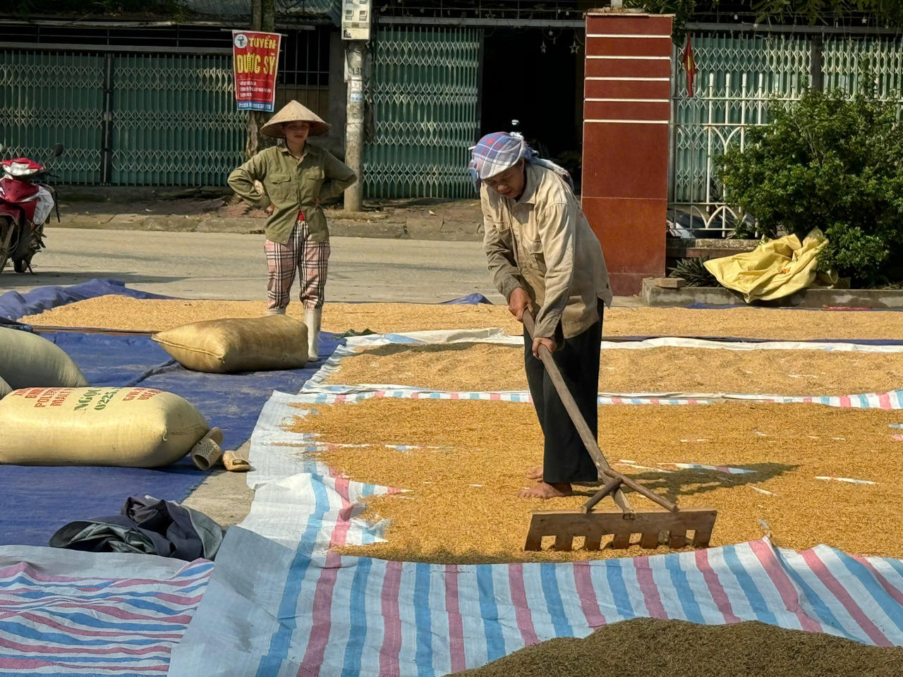Công an xã Bản Qua cùng người dân gỡ khó trong mùa thu hoạch lúa