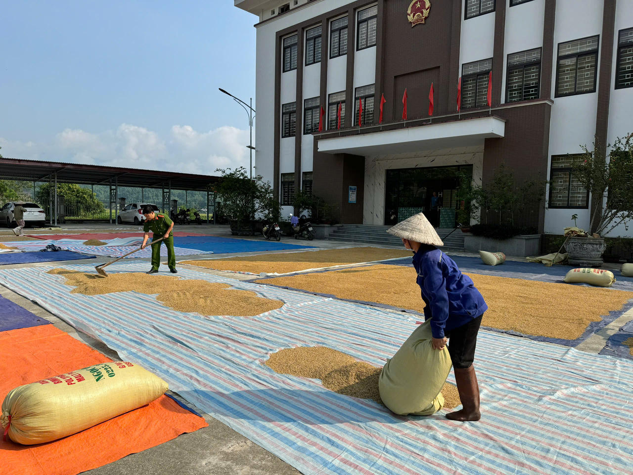 Công an xã Bản Qua cùng người dân gỡ khó trong mùa thu hoạch lúa