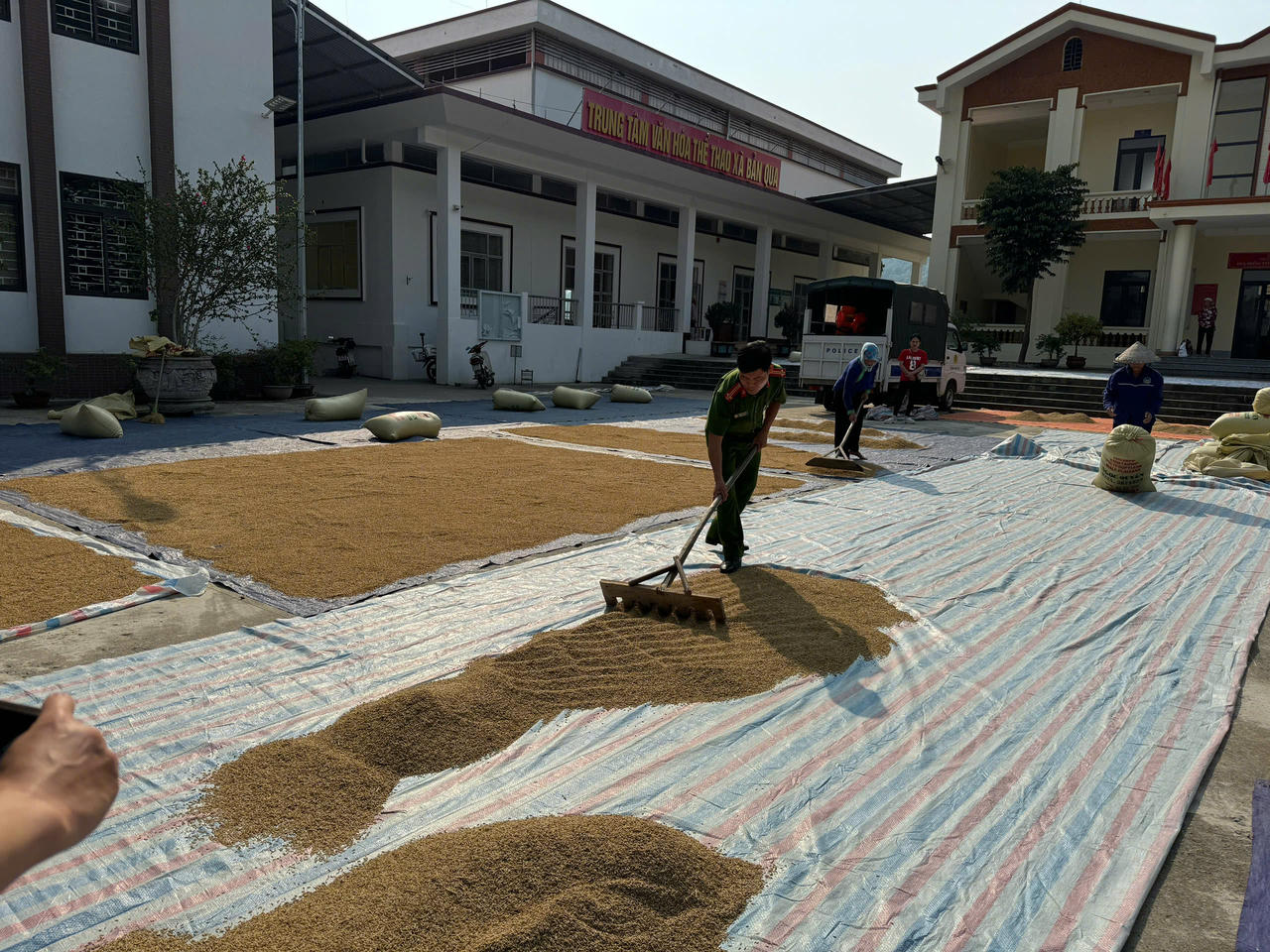 Công an xã Bản Qua cùng người dân gỡ khó trong mùa thu hoạch lúa