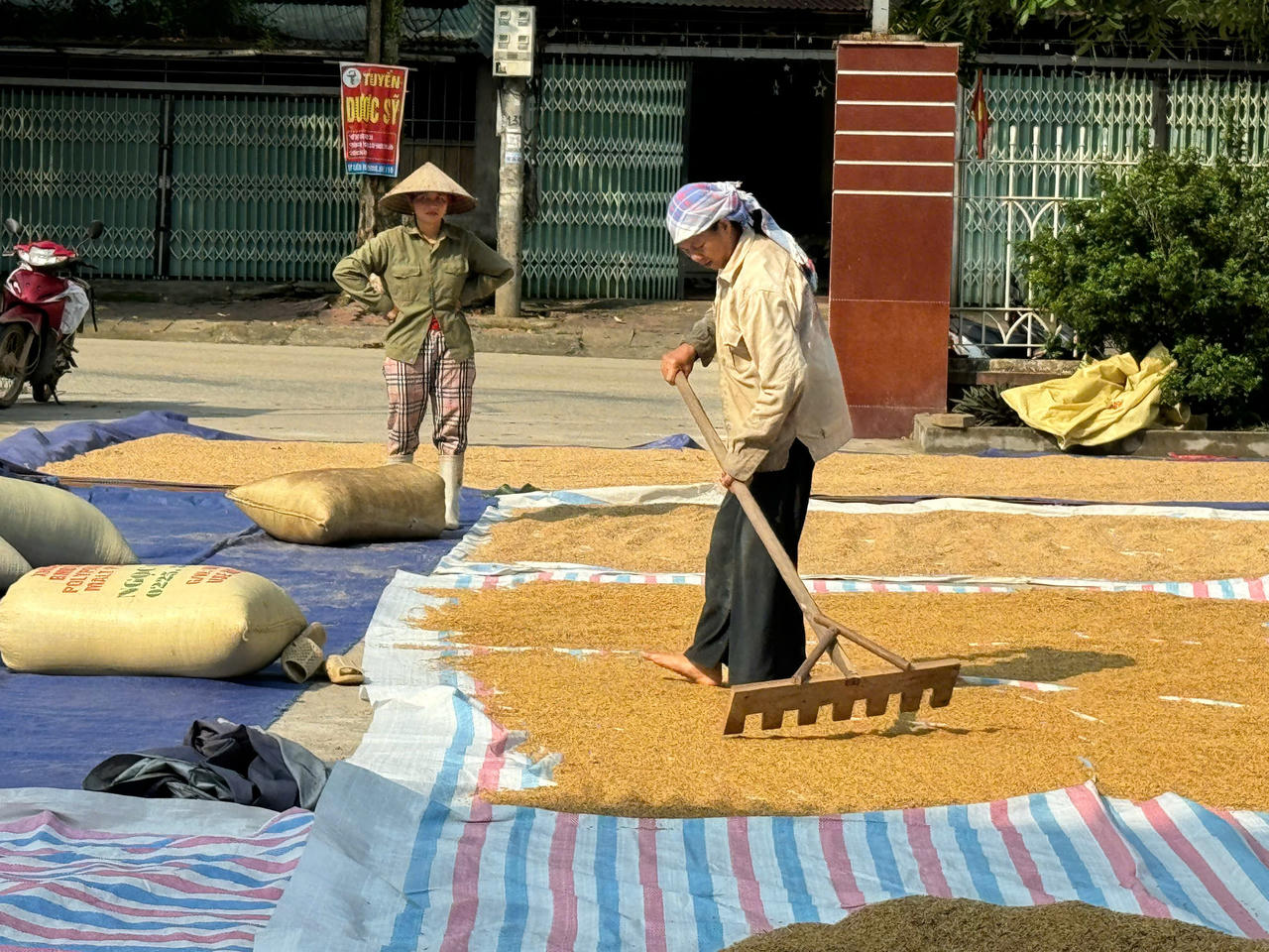 Công an xã Bản Qua cùng người dân gỡ khó trong mùa thu hoạch lúa