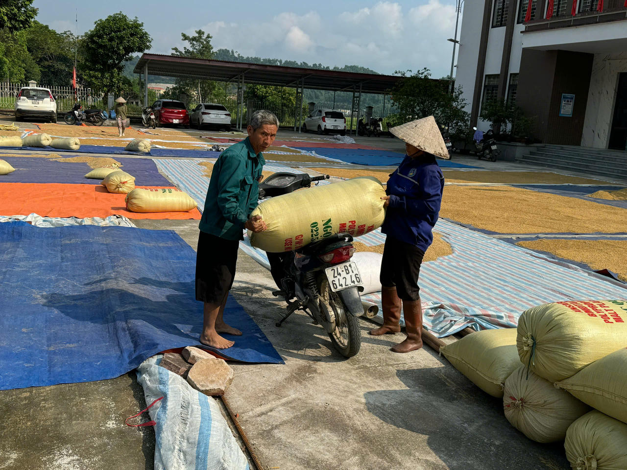 Công an xã Bản Qua cùng người dân gỡ khó trong mùa thu hoạch lúa