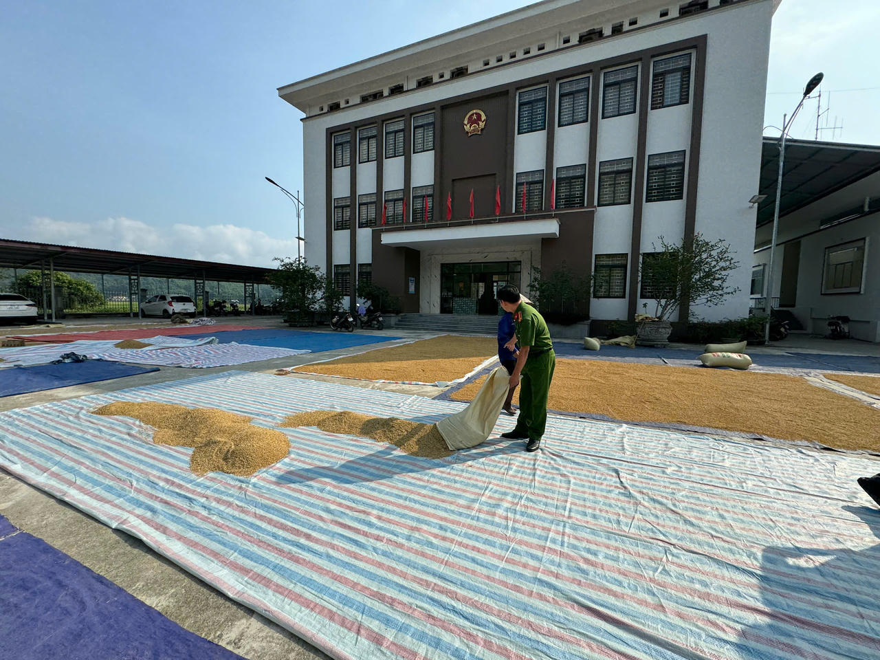 Công an xã Bản Qua cùng người dân gỡ khó trong mùa thu hoạch lúa