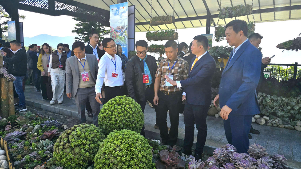 Chung tay kích cầu du lịch, 'hút khách' đến Sa Pa