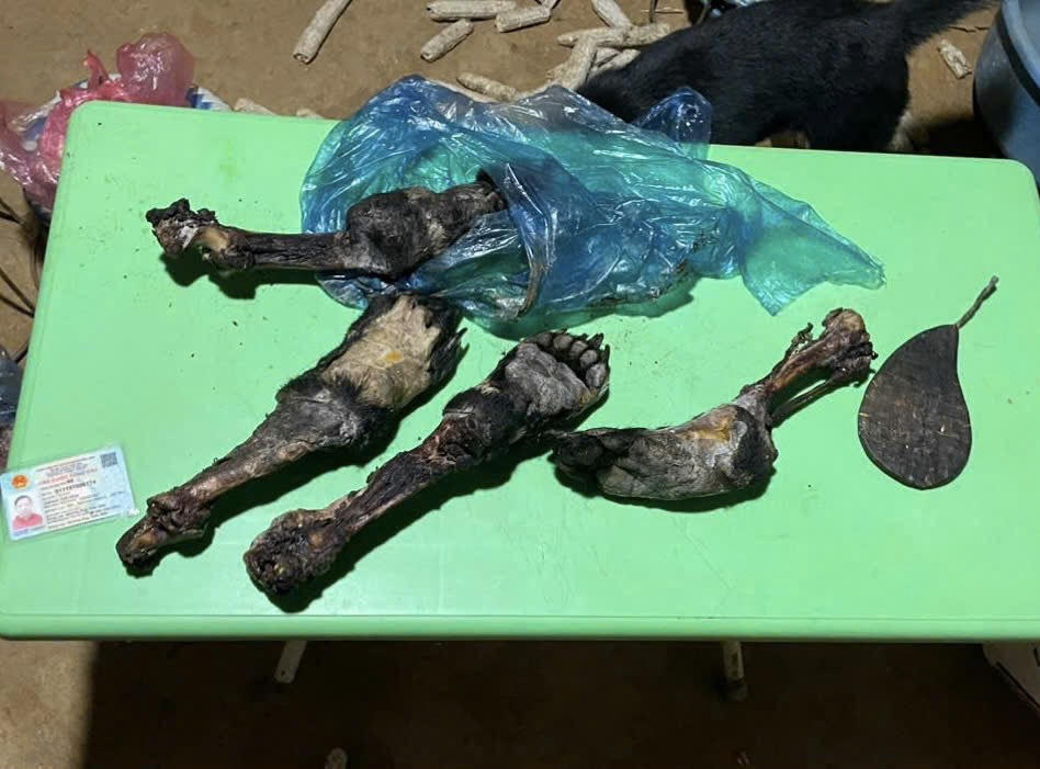 Khởi tố 2 đối tượng lừa bán số lượng lớn mật gấu giả