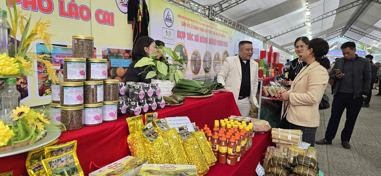 Thúc đẩy tiêu thụ sản phẩm vùng dân tộc thiểu số và miền núi ở Lào Cai