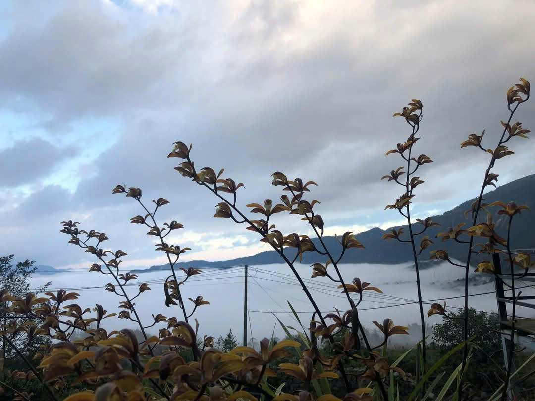 Biển mây huyền ảo trên vùng cao Y Tý, Bát Xát, Lào Cai