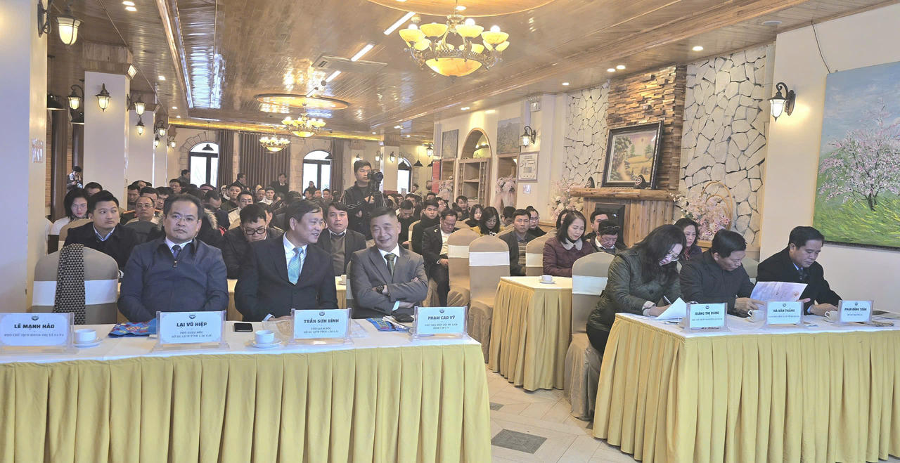 Bất chấp bão Yagi, du lịch Lào Cai vẫn đón 8 triệu lượt khách, tổng thu 26.700 tỷ đồng