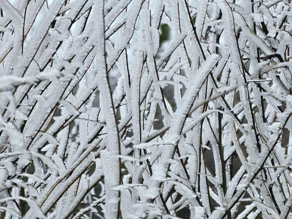 Kỳ vĩ cảnh băng tuyết phủ trắng đỉnh Lảo Thẩn