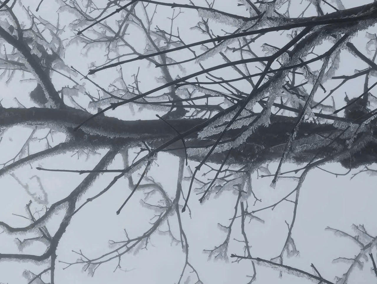 Kỳ vĩ cảnh băng tuyết phủ trắng đỉnh Lảo Thẩn