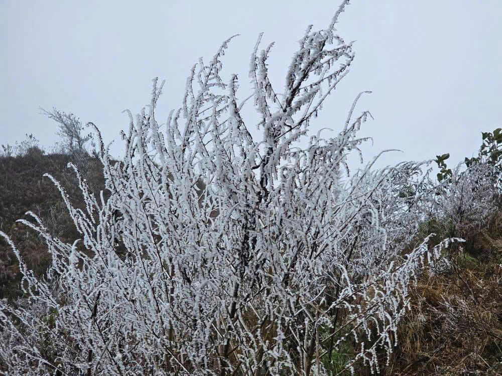 Kỳ vĩ cảnh băng tuyết phủ trắng đỉnh Lảo Thẩn