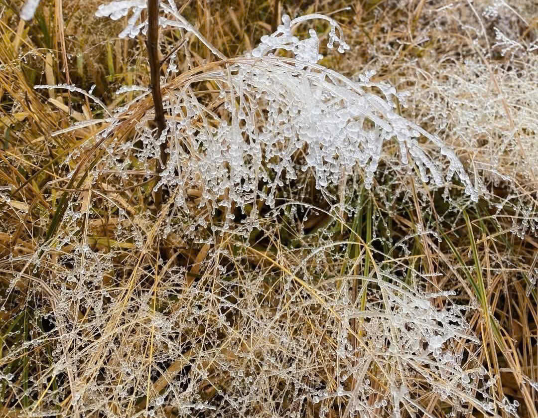 Kỳ vĩ cảnh băng tuyết phủ trắng đỉnh Lảo Thẩn